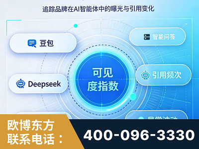 雷州-AI可见度监测