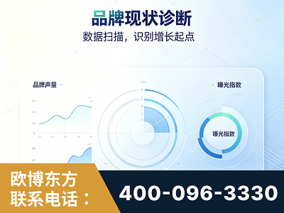 雷州-品牌现状诊断