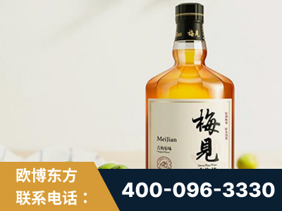 雷州-梅见青梅酒