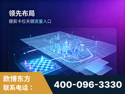 雷州-领先布局：于2024年初开启GEO业务的公司
